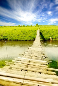 Bridge